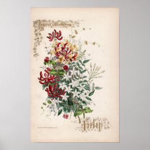 Poster Gravures botaniques, juillet
