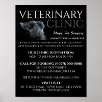 Gray Cat, Vétérinaire, Service vétérinaire Advert