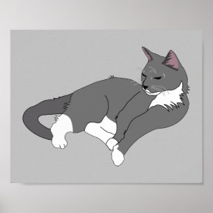 Poster Gray & White Tuxedo Cat 