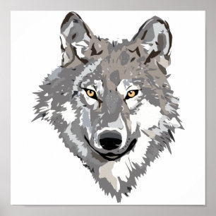 Poster Gray Wolf Design