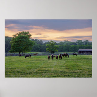 Poster Grazing Horses