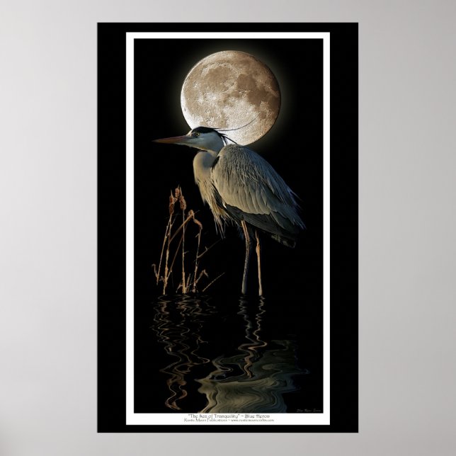 Poster Great Blue Heron, Reeds & Moon Nature Art Imprimer (Devant)