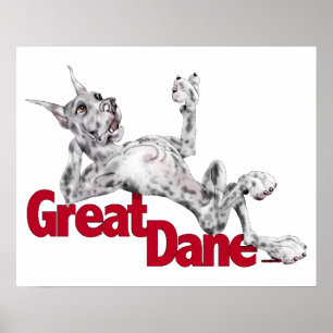 Poster Great Dane Ramenée Merle