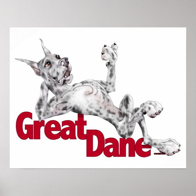 Poster Great Dane Ramenée Merle (Devant)