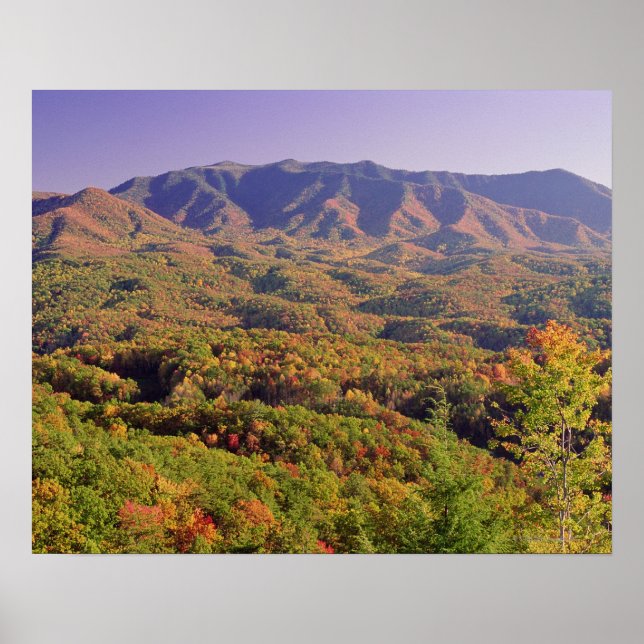 Poster Great Smoky Mountains NP, Tennessee, USA (Devant)