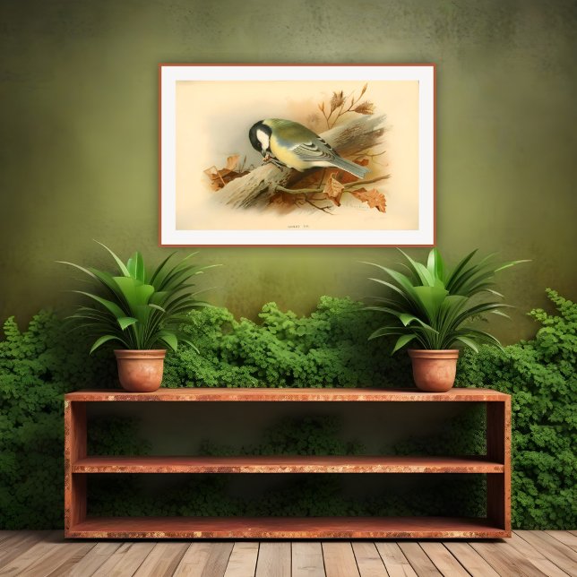 Poster Great Tit par Lord Lilford, Illustration (Créateur téléchargé)
