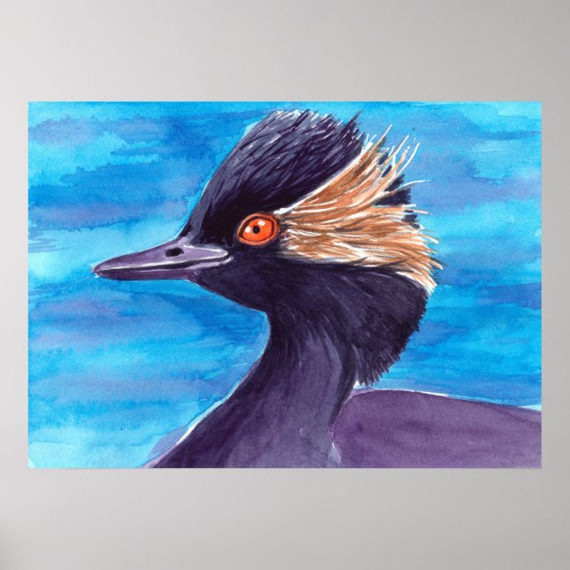 Poster Grebe (Devant)