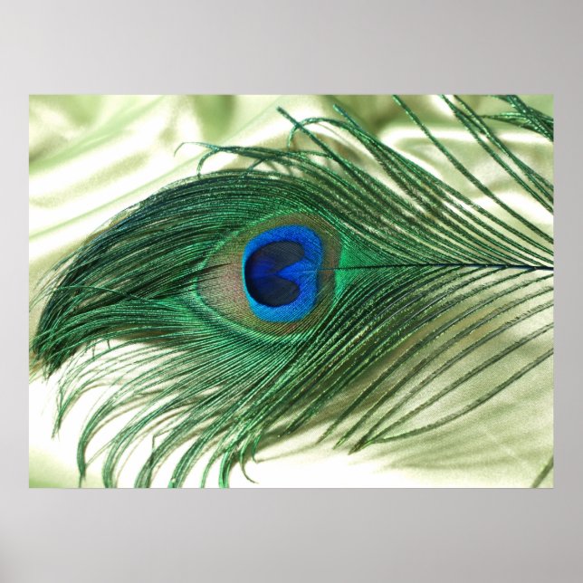 Poster Green Apple Peacock Sill Life (Devant)