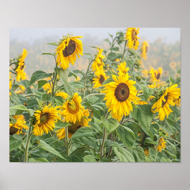 Poster Green beautiful floral (Devant)