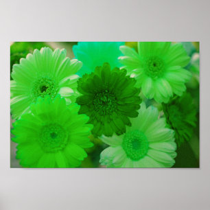 Poster Green Gerbera Daisy Flowers Wall Art Imprimer Post