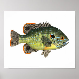 Poster Green Sunfish T-Shirt