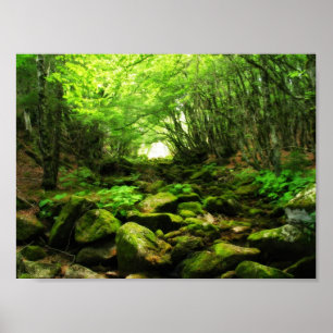 Poster Green Tunnel