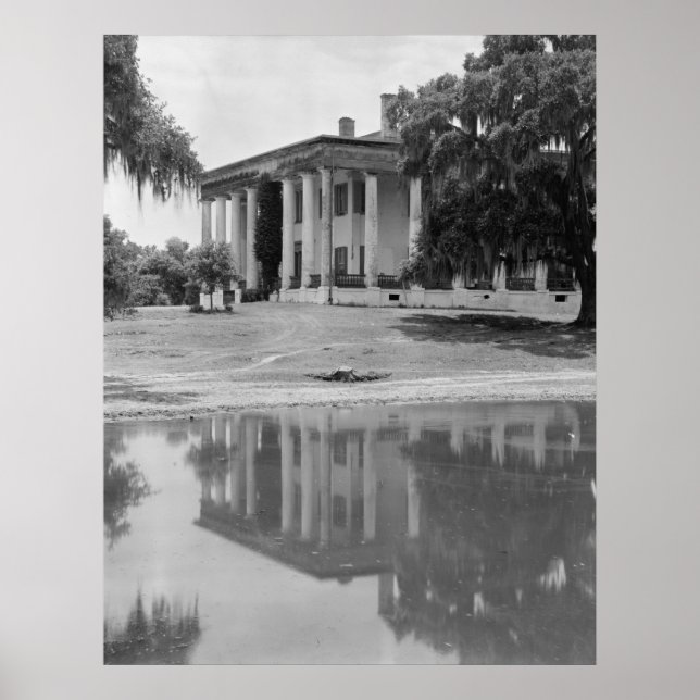 Poster Greenwood Plantation (Devant)