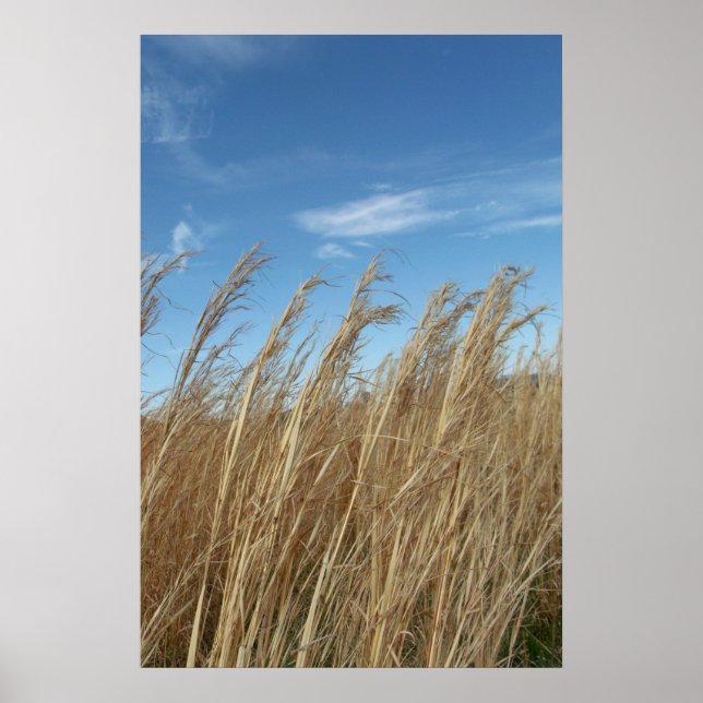 Poster Grêle (Devant)