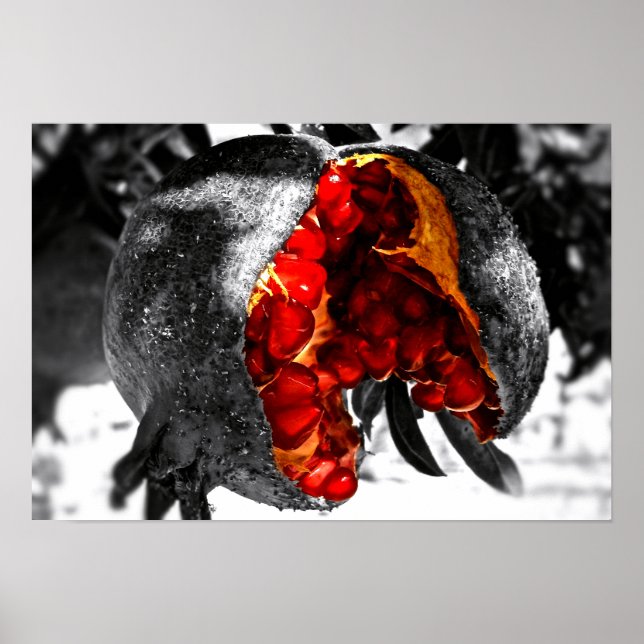 Poster Grenade (Devant)