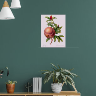 Poster Grenade (grenade) de Pierre Redout