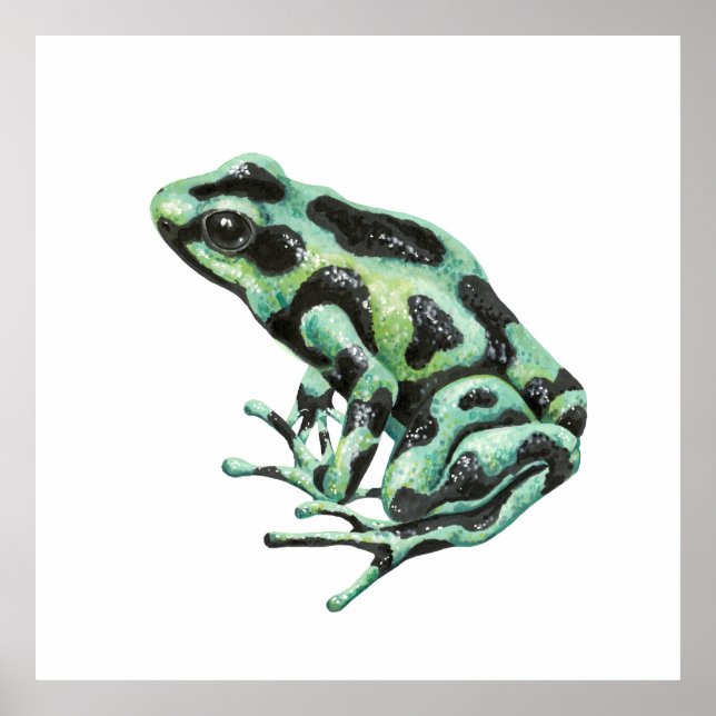 Poster grenouille à fléchettes (Devant)