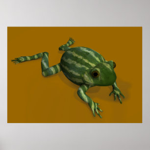 Poster Grenouille à pastèque
