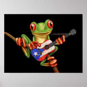 Poster Grenouille Arbre Jouer Porto Rico Drapeau Guitare 