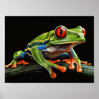Poster Grenouille aux yeux rouges