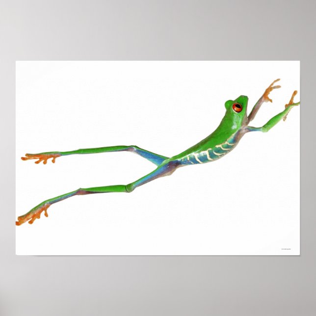 Poster Grenouille aux yeux rouges saut (Devant)