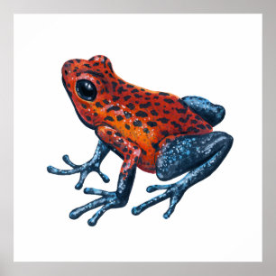 Poster Grenouille empoisonnée fraise