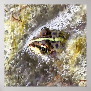 Poster Grenouille plongée dans des bulles d'eau et des mo