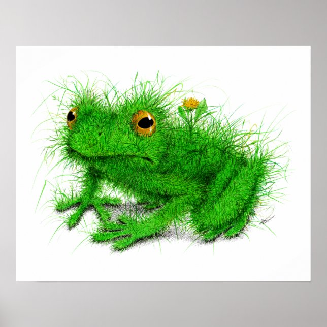 Poster Grenouille "réelle" - Dessin (Devant)
