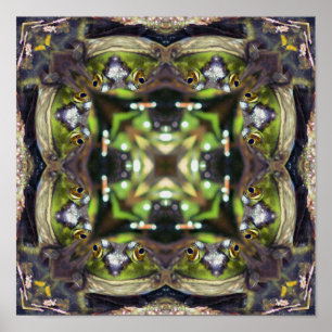 Poster Grenouille souriante Visage Nature Kaleidoscope Ab