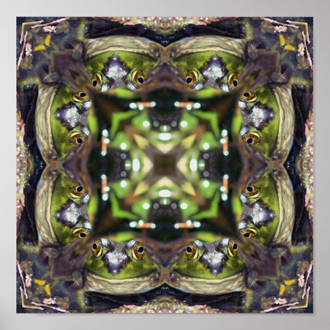 Poster Grenouille souriante Visage Nature Miroir Abstrait (Devant)