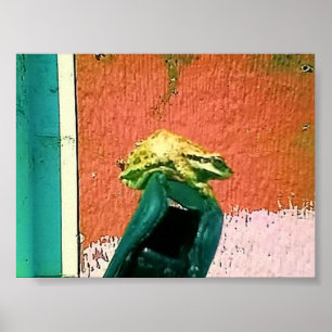 Poster Grenouille sur un boîtier de téléphone portable