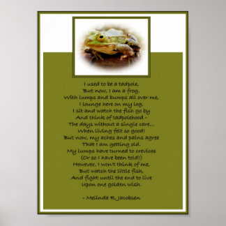 Poster Grenouille Sur Un Journal