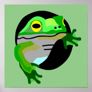 Poster Grenouille verte