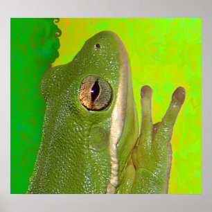 Poster grenouilles