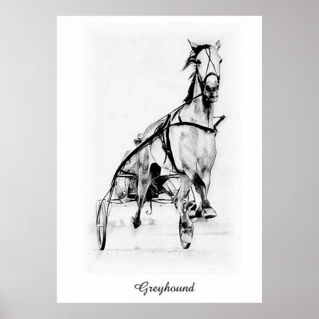 Poster Greyhound (Devant)