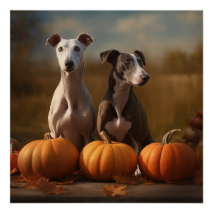 Poster Greyhound Chiot Automne Citrouille de plaisir