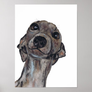 Poster GREYHOUND g909