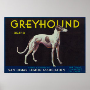 Poster Greyhound Lemon LabelSan Dimas, CA
