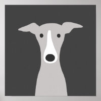 Greyhound mignon, Greyhound italien ou Chien Whipp