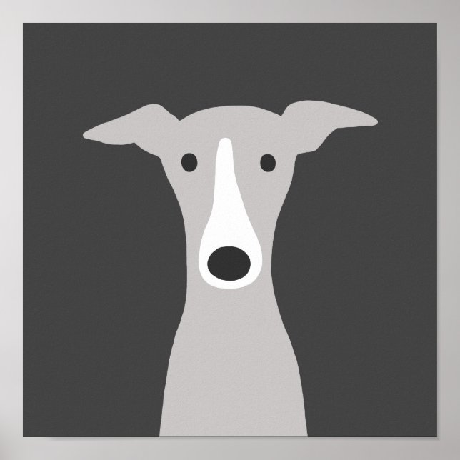 Poster Greyhound mignon, Greyhound italien ou Chien Whipp (Devant)