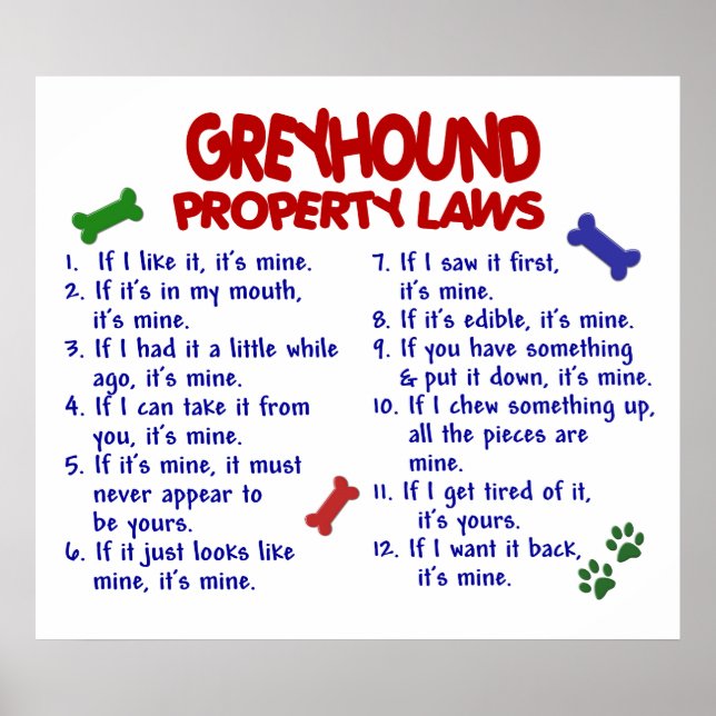 POSTER GREYHOUND PL2 (Devant)