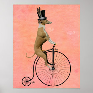 Poster Greyhound sur Black Penny Farthing