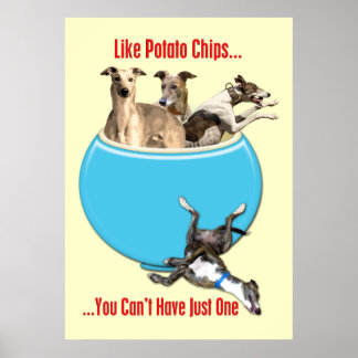 Poster Greyhounds comme chips de pommes de terre
