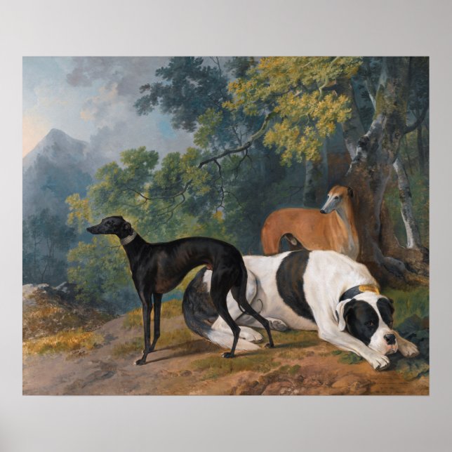 Poster Greyhounds et Mastiff par Sawrey Gilpin (Devant)