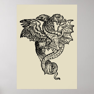 Poster Griffon & Dragon