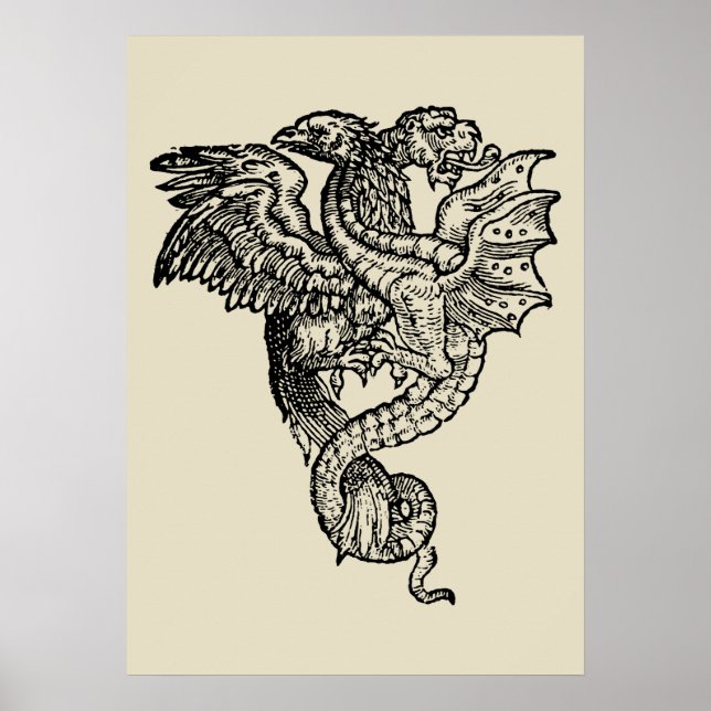 Poster Griffon & Dragon (Devant)