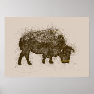 Poster Griffonnage de stylo bille de Taureau de bison