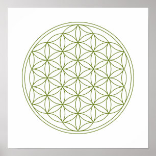 Poster Grille De Cristal - Fleur De Vie