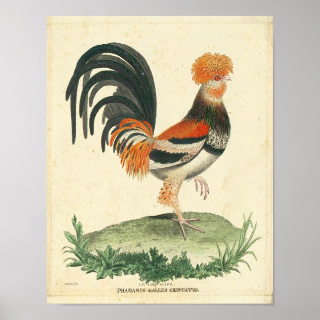 Poster Grille vintage (Devant)
