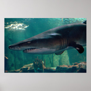 Poster Grimace de Toofy Li'l